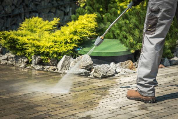 Best Soft Washing  in Plattsburgh, NY